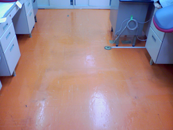 【『剥離洗浄』施工前】