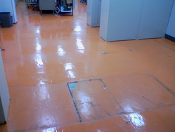 【『剥離洗浄』施工前】