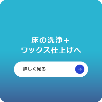 bnrmany02_floor-cleaning