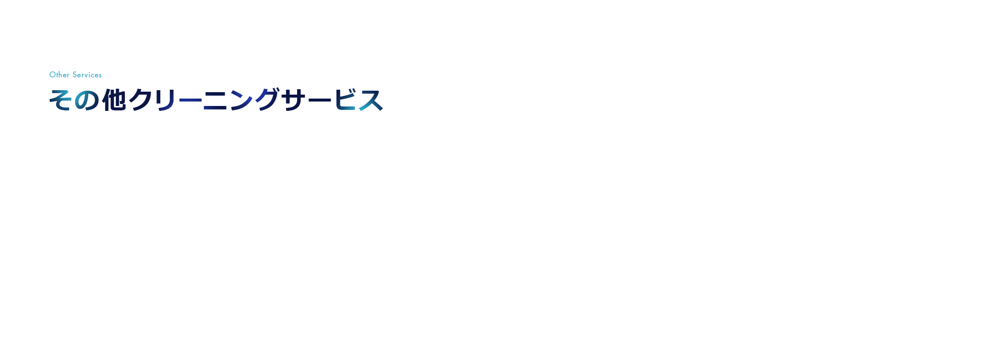 その他クリーニングサービス